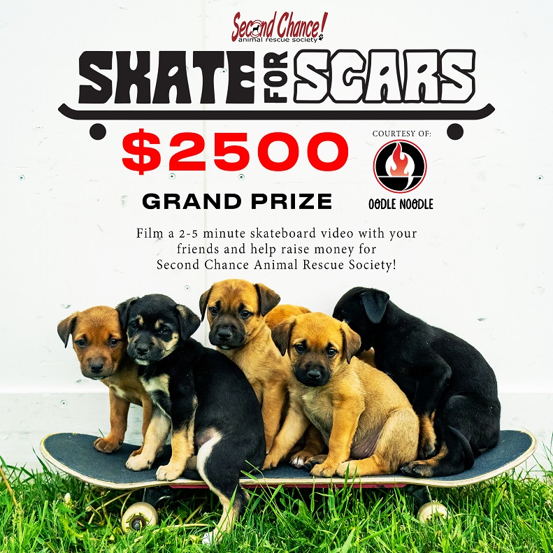 Winners and Event Summary Skate for SCARS